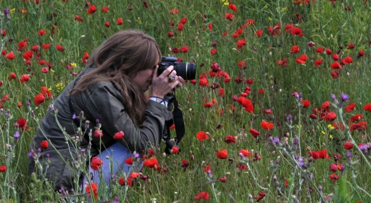 kaz and poppies cropped