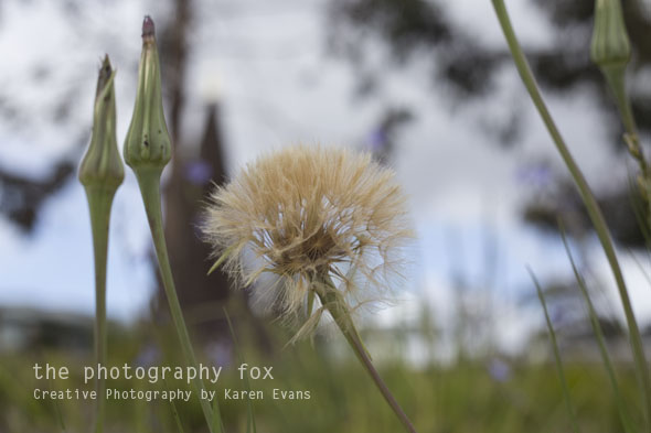 KarenEvans_Hobart_blog14