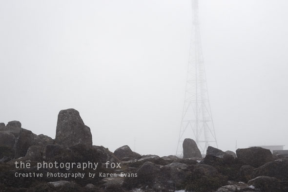 KarenEvans_Hobart_blog15