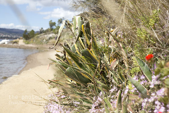 KarenEvans_Hobart_blog22