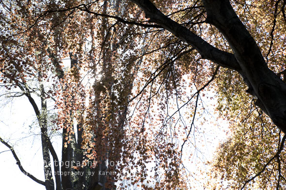 KarenEvans_Hobart_blog29