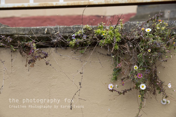 KarenEvans_Hobart_blog31