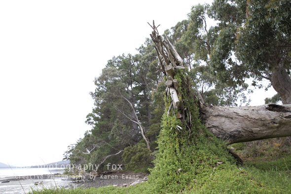 KarenEvans_Hobart_blog39