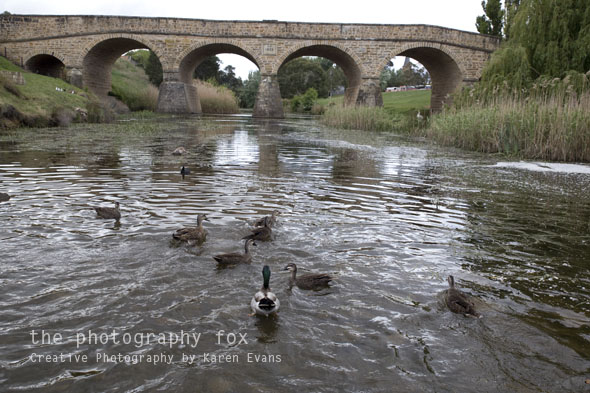 KarenEvans_Hobart_blog4