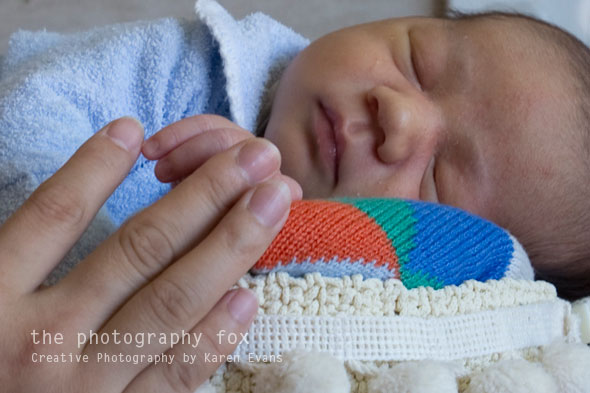 KarenEvans_Hunter-16_lowres