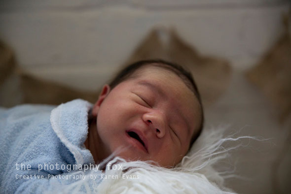 KarenEvans_Hunter-2_lowres