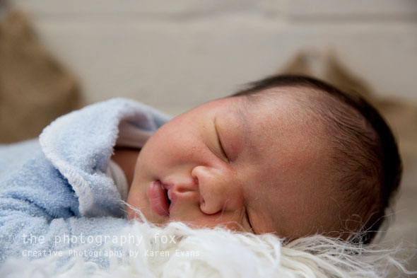 KarenEvans_Hunter-3_lowres