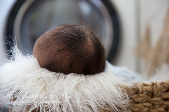 KarenEvans_Hunter-8_lowres