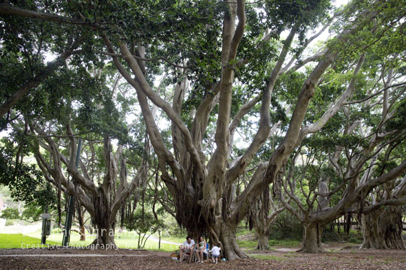 KarenEvans_KingFamily_blog136